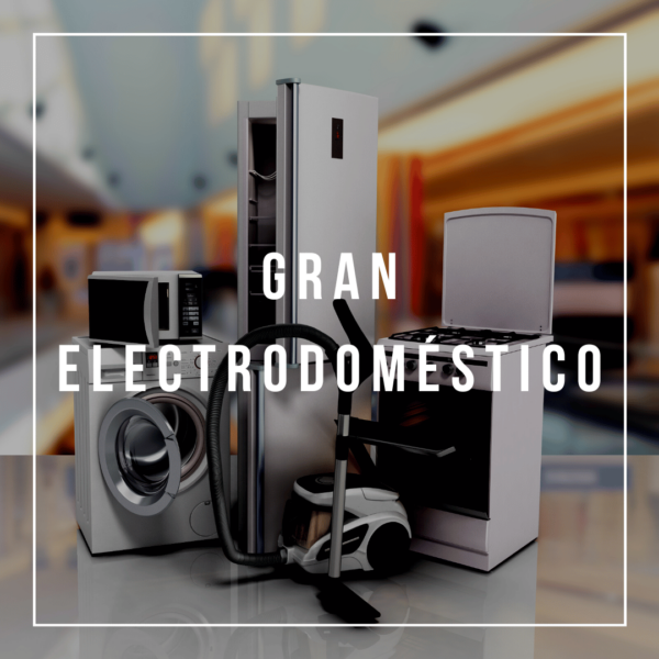 Gran Electrodoméstico