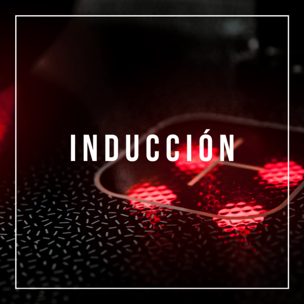 Inducción