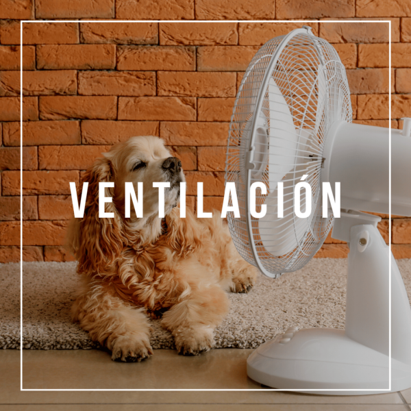 Ventilación