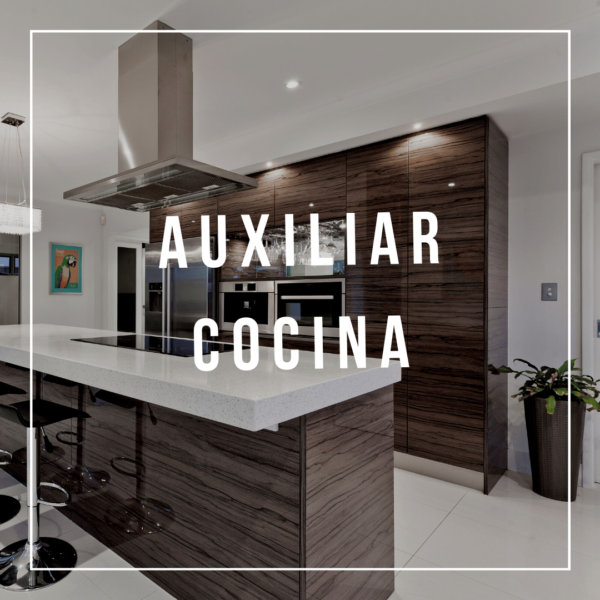 Auxiliar Cocina