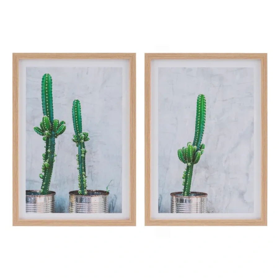 Cuadro impresión Cactus surtido